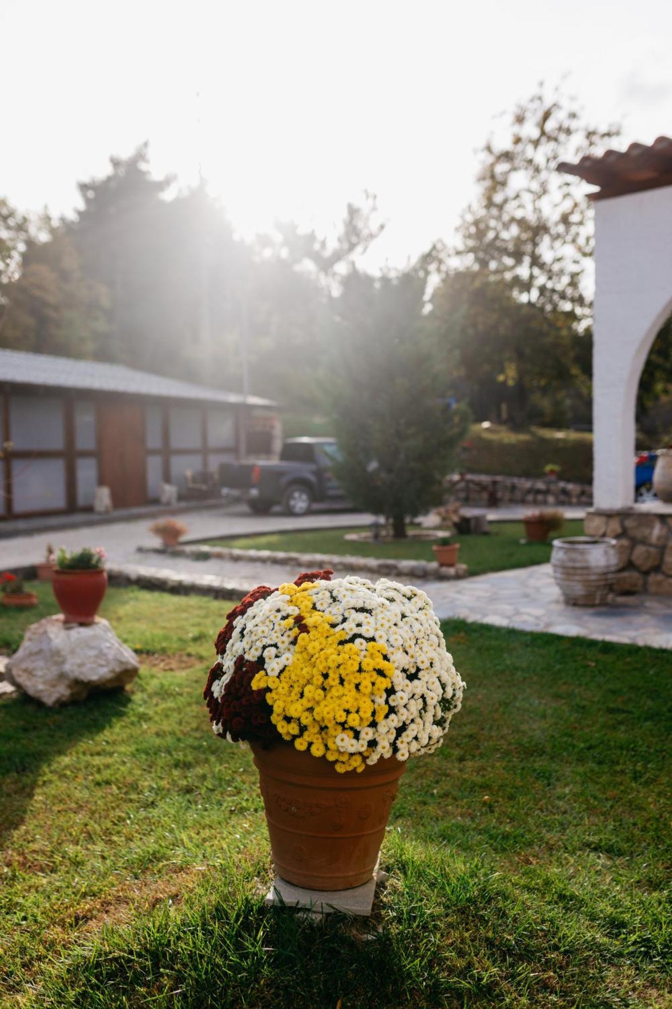 Apolithomeno Dasos Holiday Villas Near Alexandroupolis Lefkimmi  Exterior foto